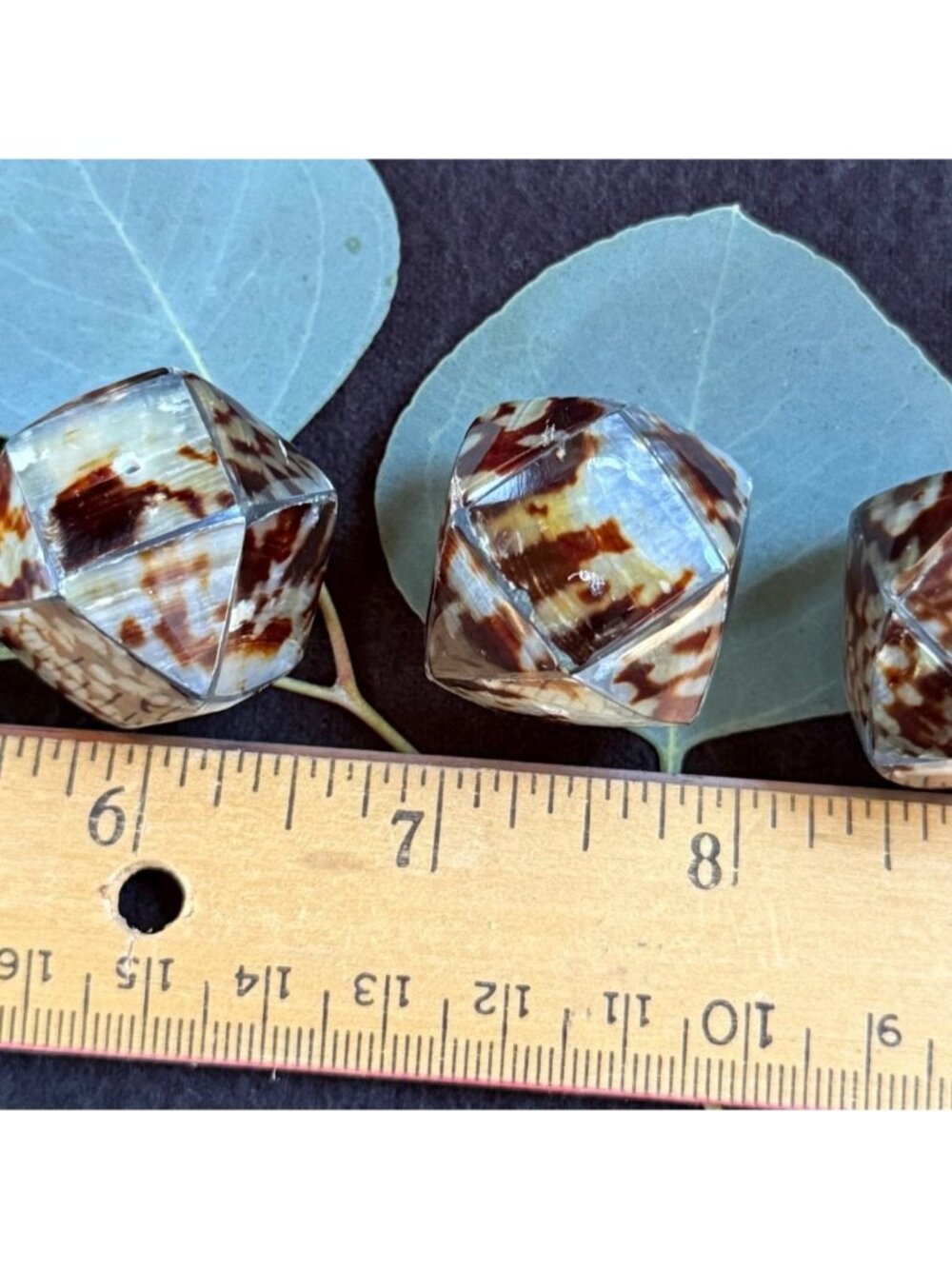(4) Natural Tiger Cowrie Shell Dodecahedron Beads Set Of 4 Approx. 1 Inch Each